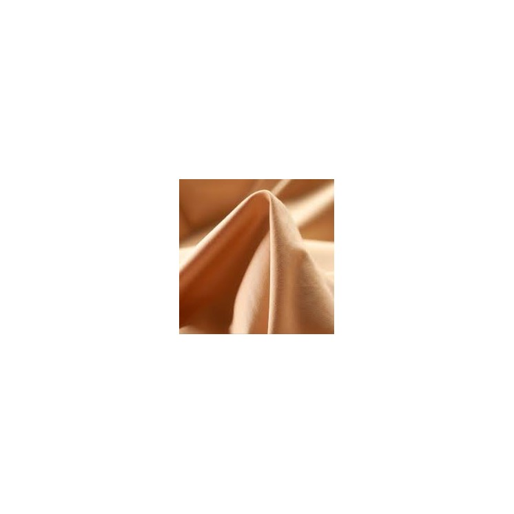 Rozsa Elite Apricot Botanical Slipcover with Stain-proof Finish